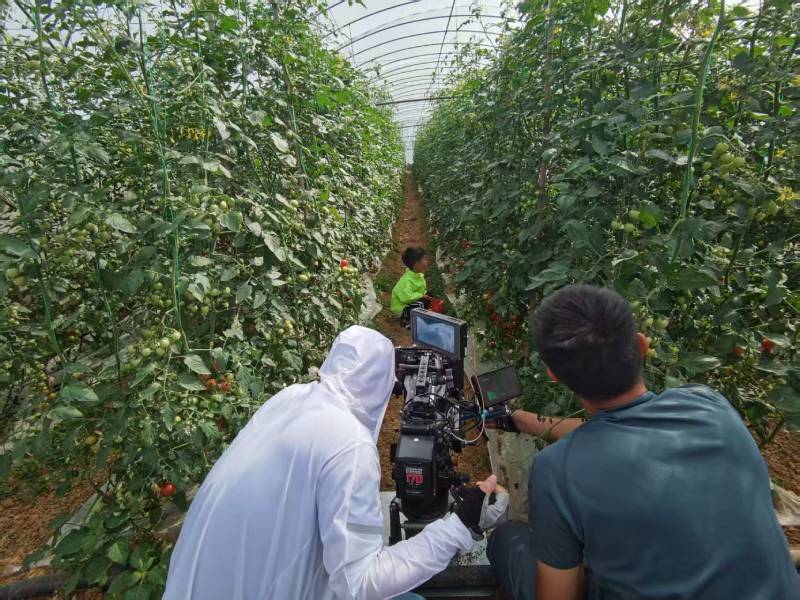 修武县产品宣传视频拍摄公司进阶指南，助力品牌抢占传播高地